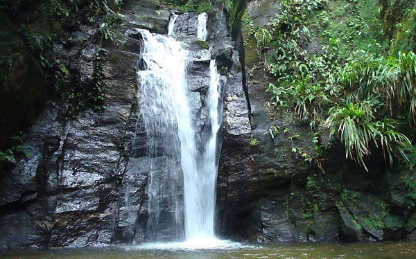 img-jungle-experience img-jungle-experience